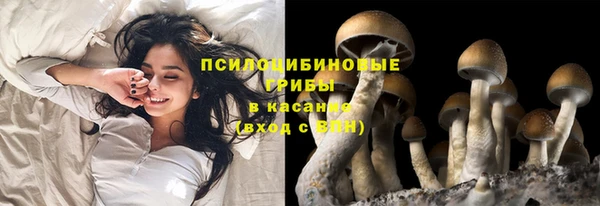 кокаин премиум Каменногорск