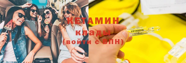 сатива Каменка