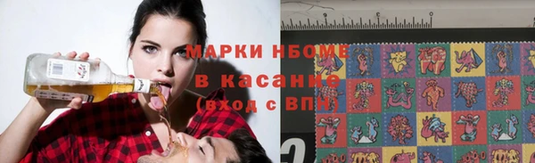 сатива Каменка