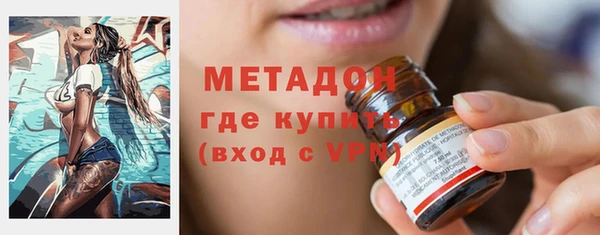 сатива Каменка
