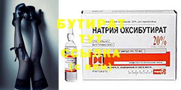 сатива Каменка
