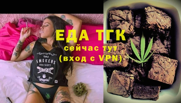 сатива Каменка