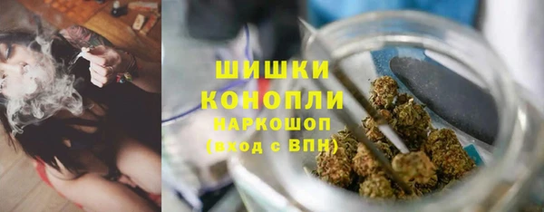 СК Каменск-Шахтинский