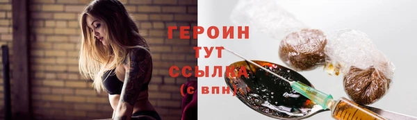 сатива Каменка