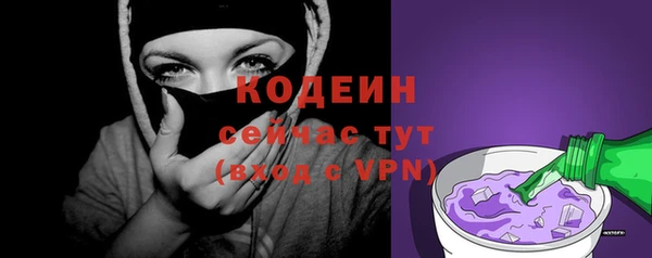 сатива Каменка