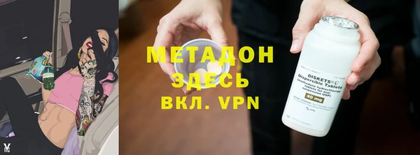 сатива Каменка