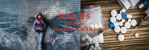 сатива Каменка