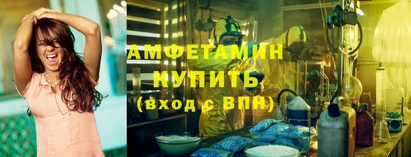 сатива Каменка