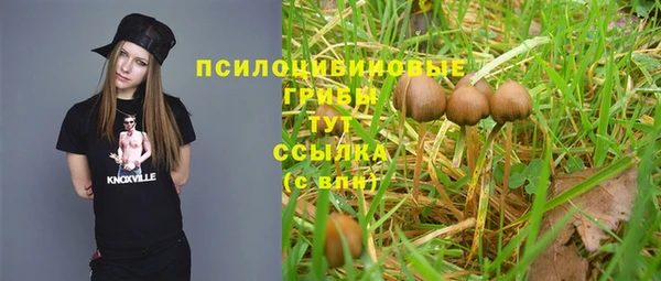 СК Каменск-Шахтинский