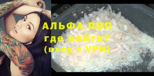 СК Каменск-Шахтинский
