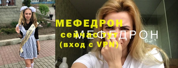 сатива Каменка