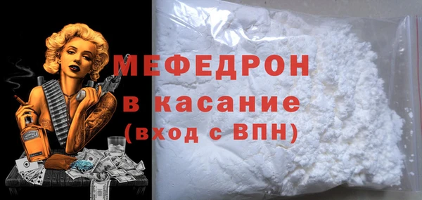 сатива Каменка