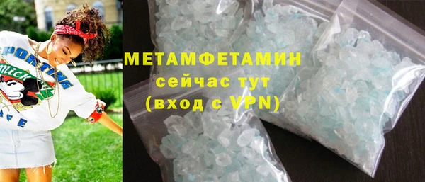сатива Каменка