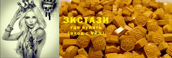 сатива Каменка