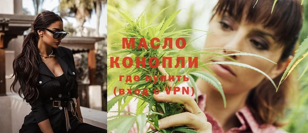 сатива Каменка