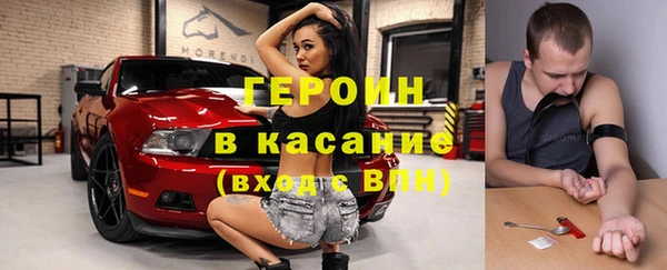 сатива Каменка