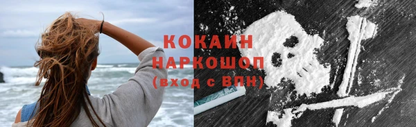 СК Каменск-Шахтинский