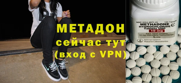 сатива Каменка